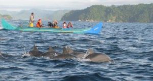 Serunya Jalan Jalan Ke Lampung Bareng Indo Tranz